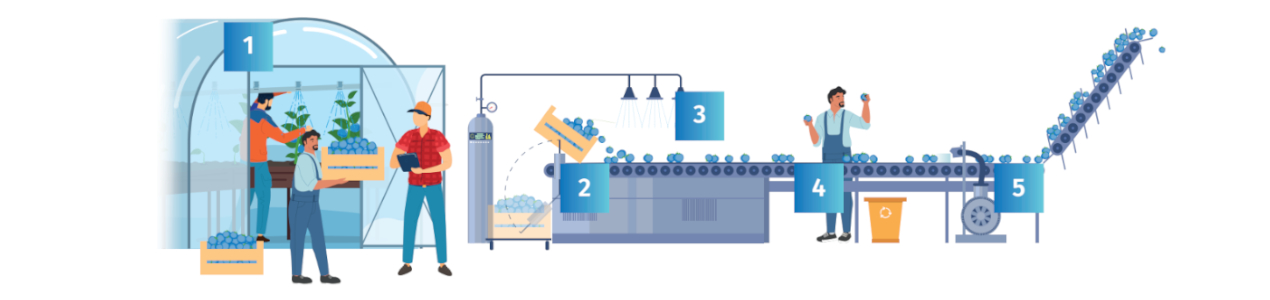 Przemysł spożywczy - proces produkcji