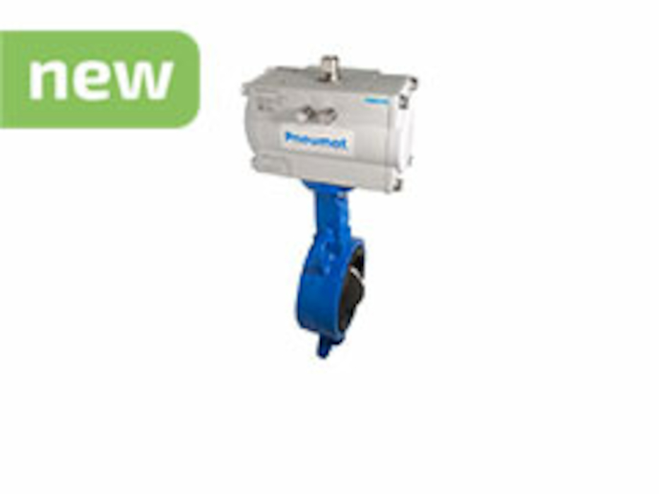 Przepustnica do wody pitnej, seria 1123 z napędem pneumatycznym