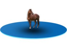 Wyposażenie stajni dla koni