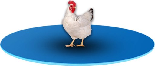 Wyposażenie ferm drobiu sklep