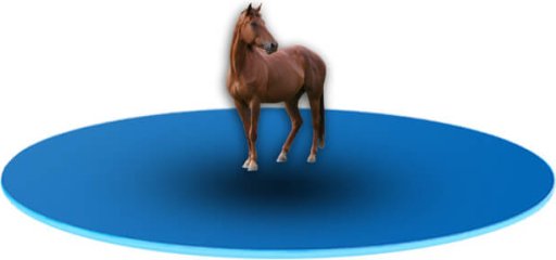 Wyposażenie stajni dla koni