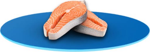 Wyposażenie przetwórni ryb