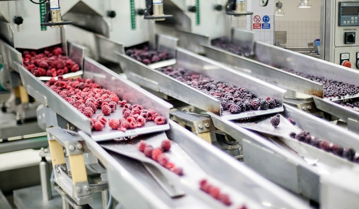 Automatyzacja procesu pakowania w przemyśle spożywczym Nowoczesna linia produkcyjna realizująca automatyzację procesu pakowania artykułów spożywczych