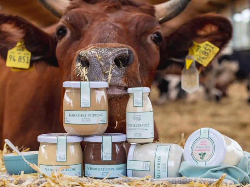 Dokumenty certyfikacyjne i logo firmy Goetze