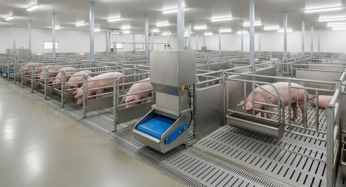 Instalacja pneumatyczna dla chlewni tucznika Instalacja pneumatyczna dla chlewni