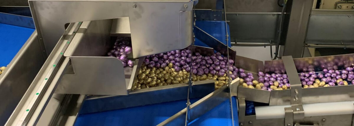 EHEDG (European Hygienic Engineering & Design Group) – Misja i Standardy