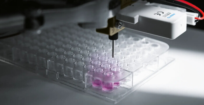 Zautomatyzowany system dozowania komórek Festo zwiększający szybkość i wydajność w laboratorium