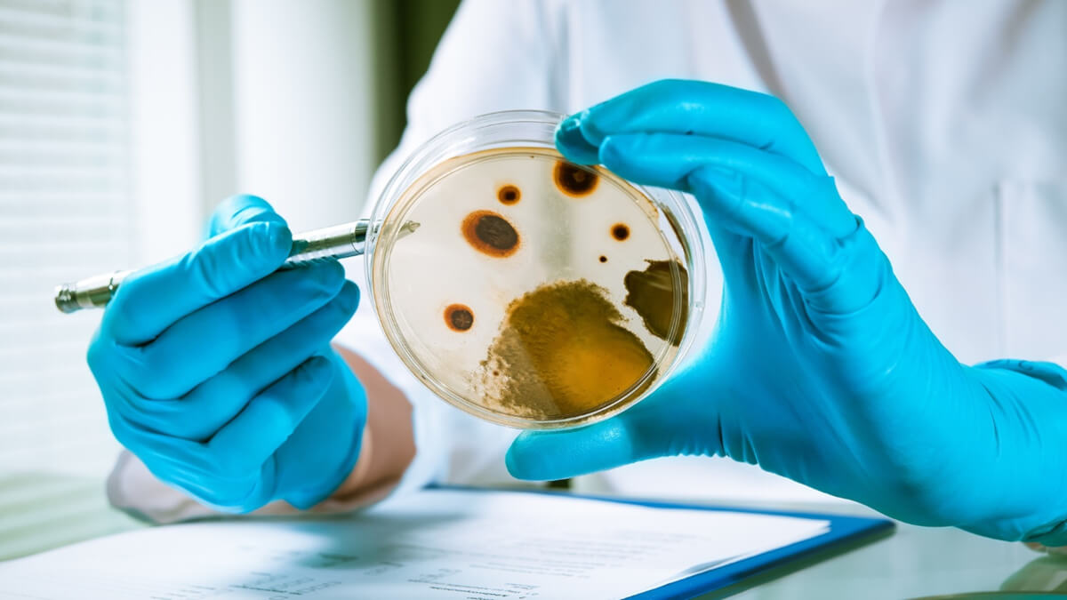 Test integralności, potwierdzającego skuteczność filtracji mikrobiologicznej
