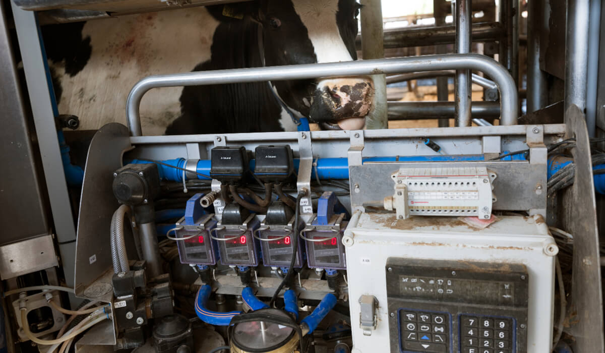 Konserwacja pneumatyki