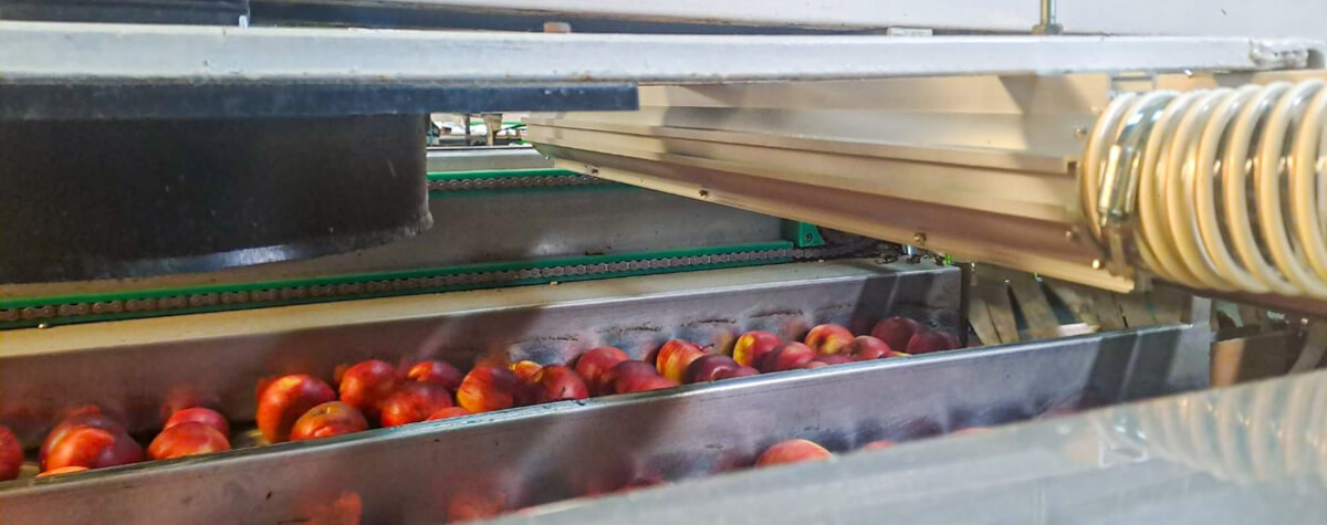 Widok kurtyny powietrza otaczającej jabłko