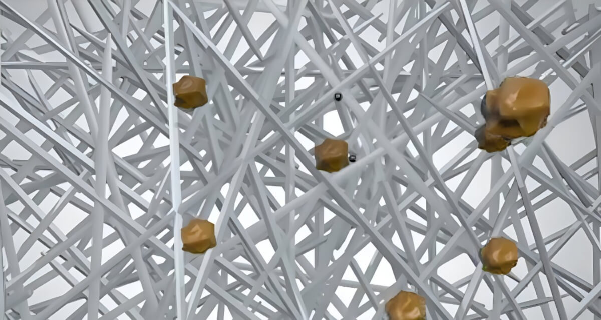 Struktura mikroskopowa włókien filtrujących