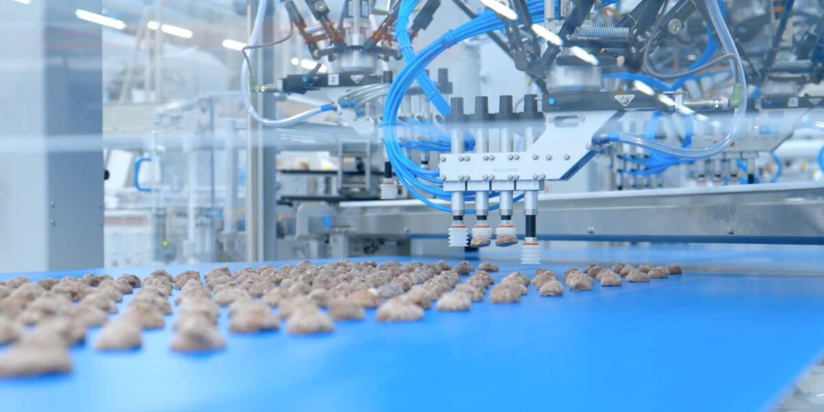 Zestawienie małych przyssawek wykonanych z różnych materiałów 