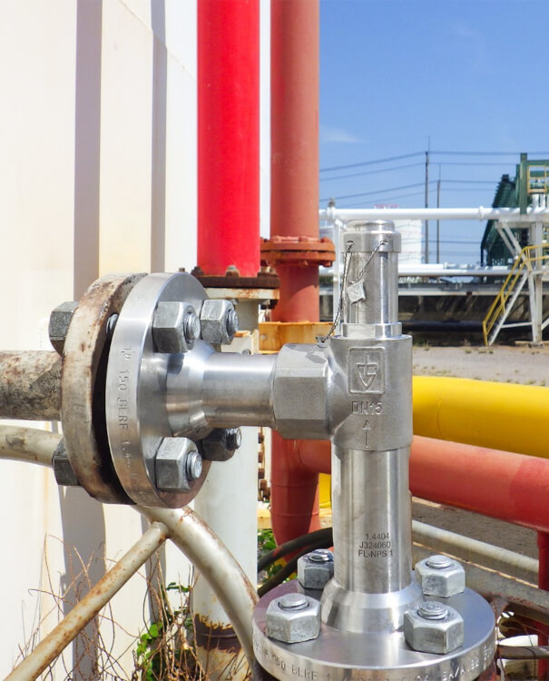 Montaż zaworów bezpieczeństwa Indywidualnie dostosowane wymiary kołnierzy zaworów dla precyzyjnego dopasowania