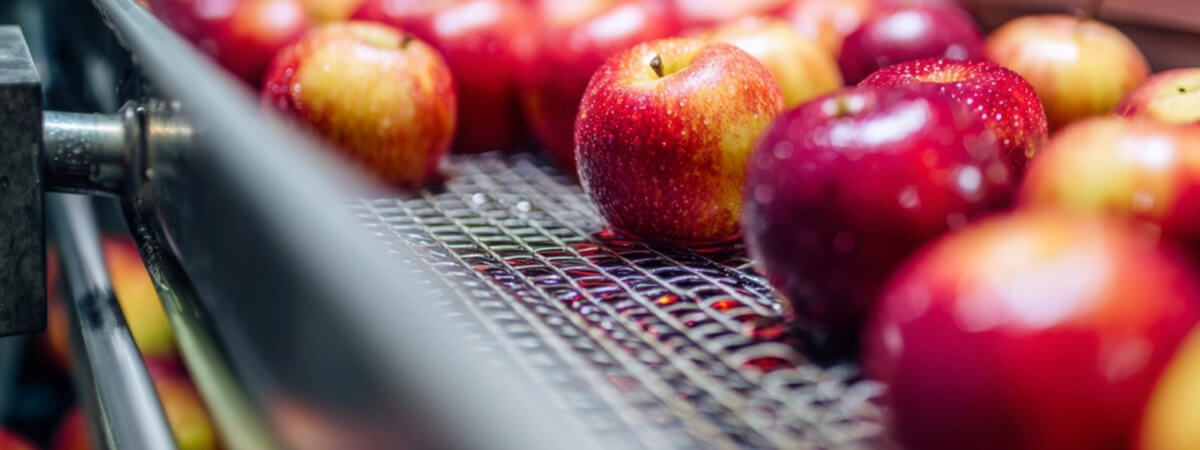 Nóż powietrzny i dmuchawa bocznokanałowa w sortowni owoców