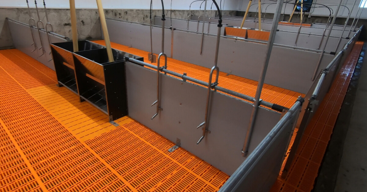 Mniejsze zużycie paszy i wody dzięki precyzyjnemu dawkowaniu Eliminacja strat dzięki precyzyjnemu dawkowaniu