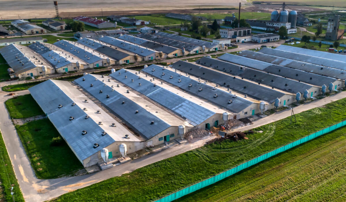 Pneumatyka do chlewni Automatyzacja żywienia, wentylacji i bioasekuracji w nowoczesnej oborze za pomocą pneumatyki