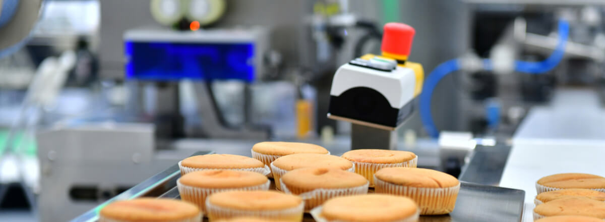 Automatyzacja linii i wyposażenie do masowej produkcji pieczywa