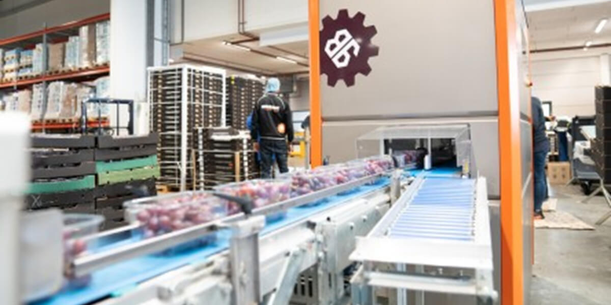 Pneumatyka a higienia – rola w zakładach o zaostrzonych wymaganiach