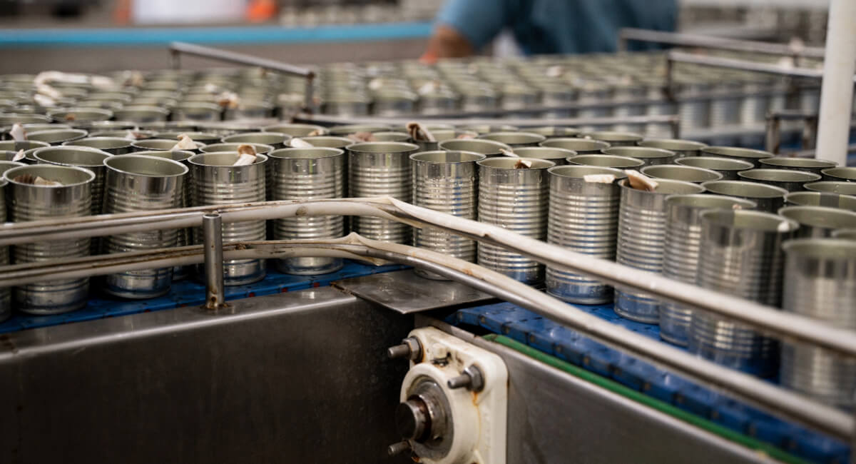 Pneumatyka w przetwórni ryb Pneumatyka w przetwórni ryb - wyposażenie i automatyzacja procesów przemysłowych