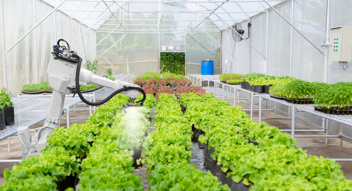 Pneumatyka w szklarni przemysłowej Systemy sterowania i automatyzacja produkcji roślinnej w szklarni przemysłowej