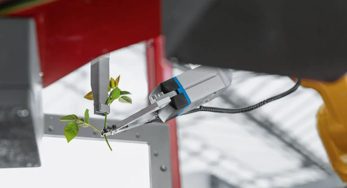 Automatyczne przesadzanie sadzonek Automatyczne przesadzanie sadzonek - serwonapędy CMMT-ST i osie ELGD-TB Festo