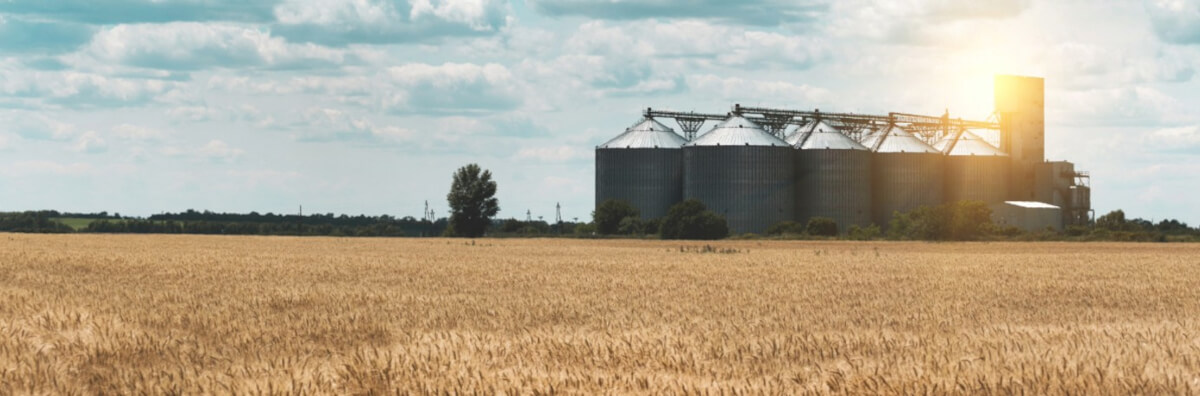 Przetwórstwo zboża - kluczowa rola niezawodnej instalacji technologicznej Ogólny widok na halę produkcyjną w zakładzie przetwórstwa zboża