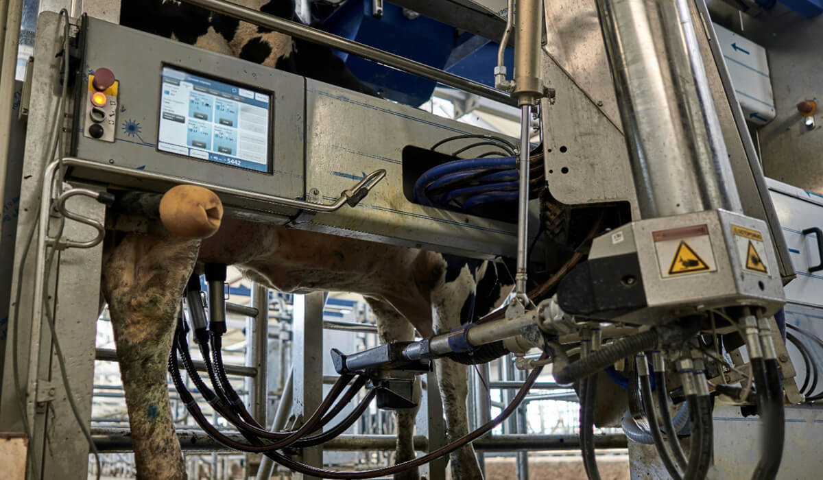 Przewody pneumatyczne - odporność na wilgoć, kurz i opary amoniaku w oborze