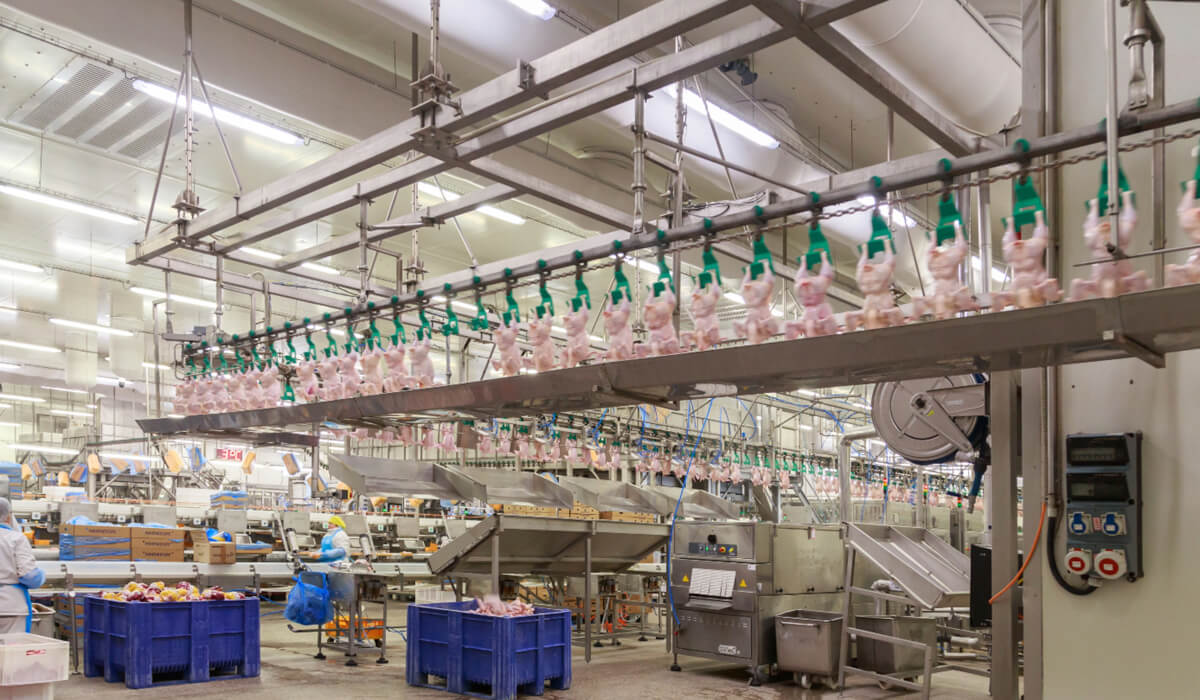 Filtry i reduktory bez smarowania w strefach bliskich żywności/jajom – higiena