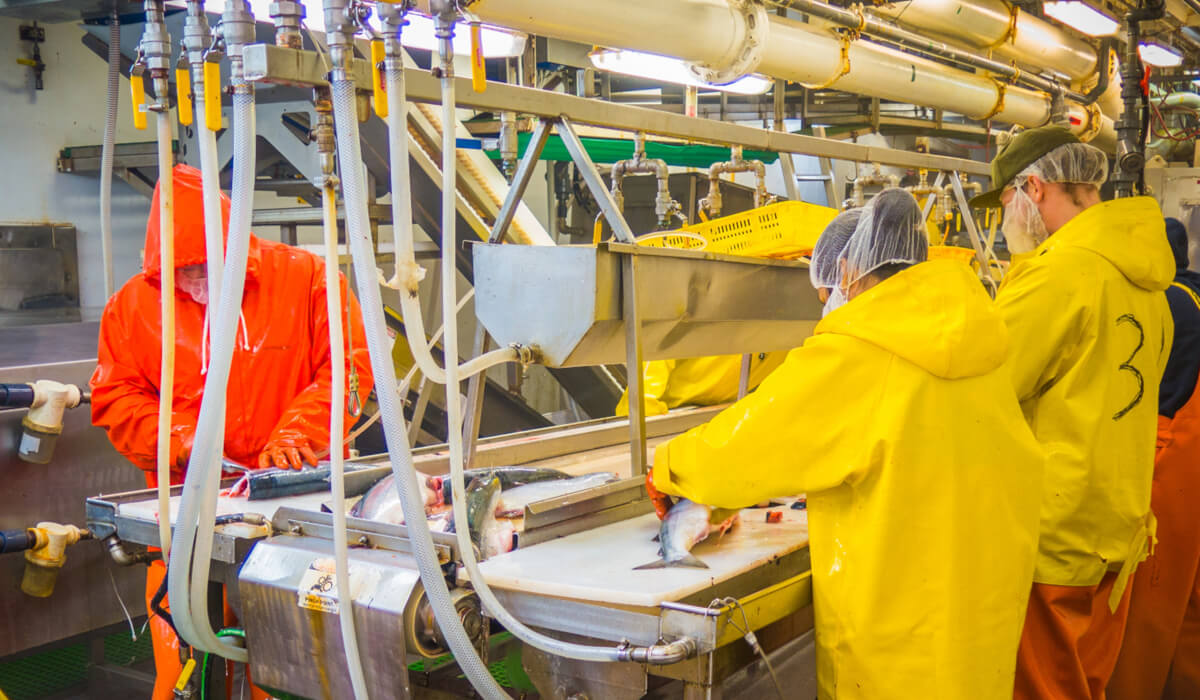 Węże spożywcze (FDA/UE) Odporność chemiczna na środki dezynfekcyjne i kontakt z żywnością