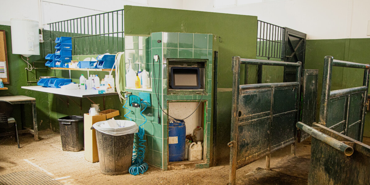 Wyposażenie stajni - centralna instalacja sprężonego powietrza Rurociągi pneumatyczne doprowadzające powietrze do boksów dla koni w nowoczesnej stadninie
