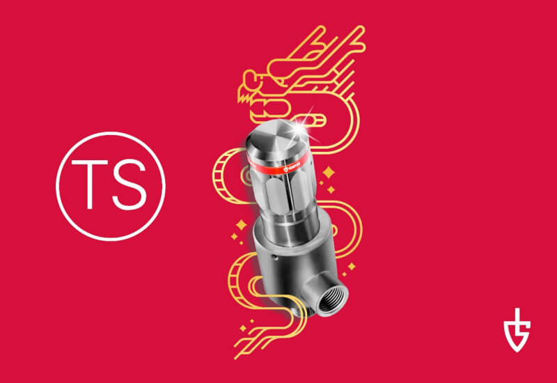 Zawór bezpieczeństwa z certyfikatem TS