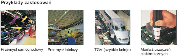 Jednostki wskazujące